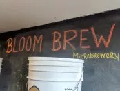 Bloom Brew, West Newton
